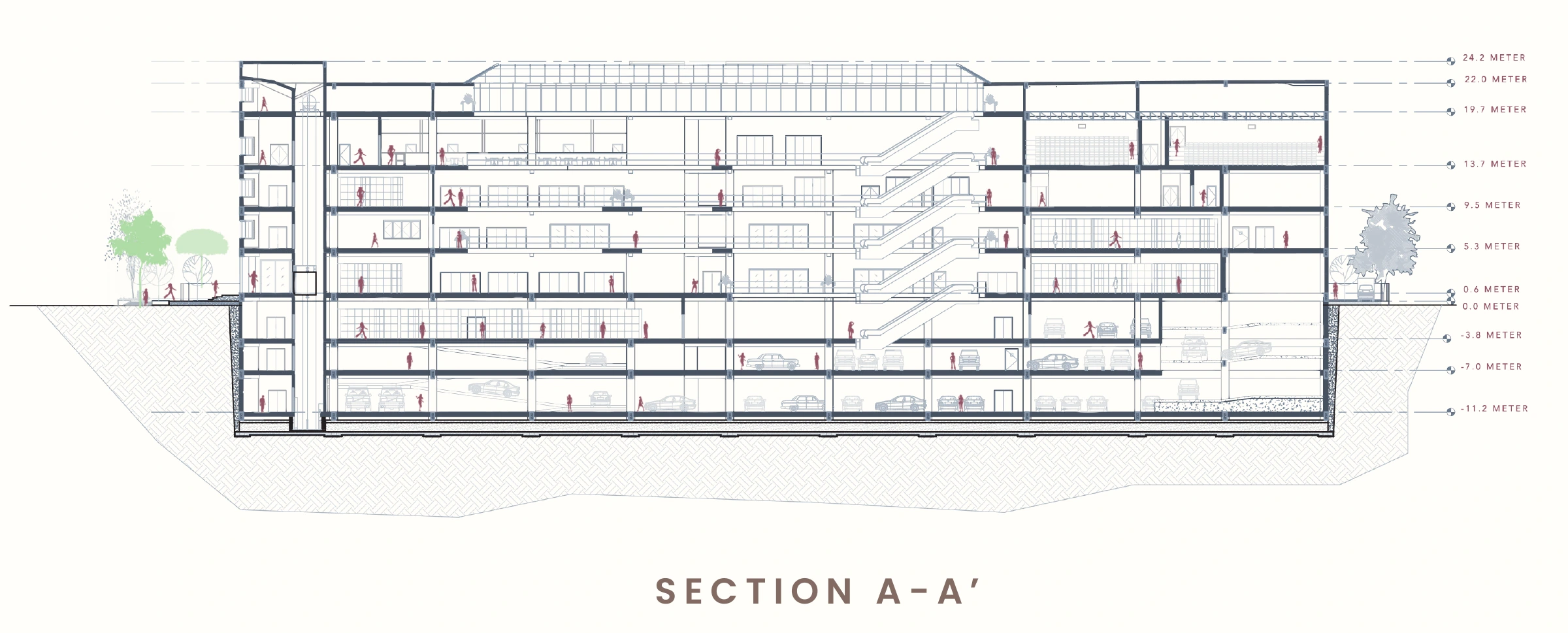 Architectural section through the occupied floors, atrium circulation and parking basements.
